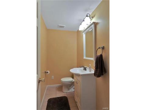 1461 Sunview, O'fallon, MO 63366 photo 24