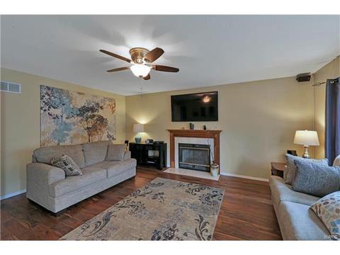 1461 Sunview, O'fallon, MO 63366 photo 5