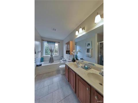1461 Sunview, O'fallon, MO 63366 photo 14