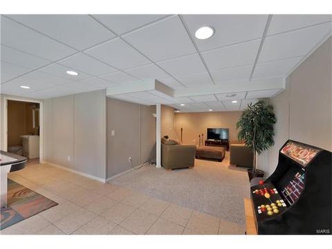 1461 Sunview, O'fallon, MO 63366 photo 23