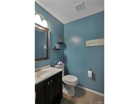 1461 Sunview, O'fallon, MO 63366 photo 4