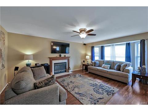 1461 Sunview, O'fallon, MO 63366 photo 6