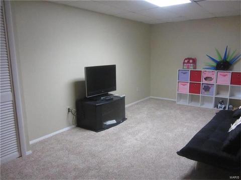 742 Carman Woods, Ballwin, MO 63021 photo 20