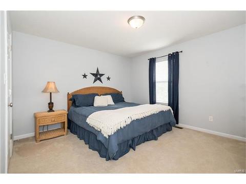 19 Belmonte Ct, O'fallon, MO 63368 photo 16