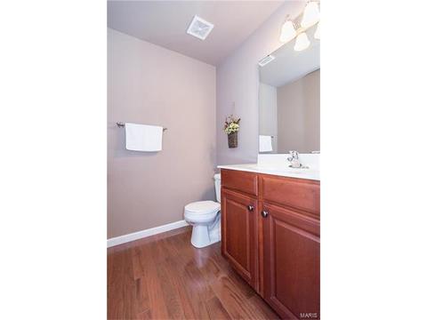 19 Belmonte Ct, O'fallon, MO 63368 photo 7