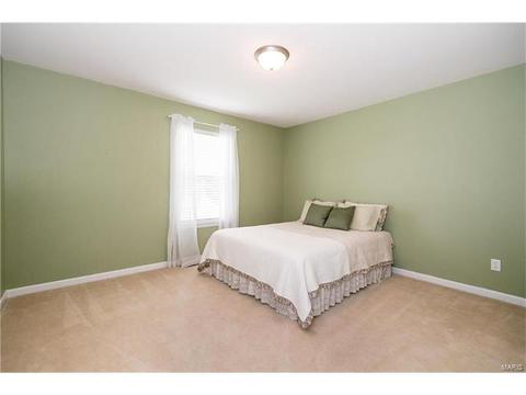 19 Belmonte Ct, O'fallon, MO 63368 photo 15