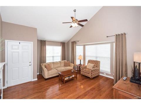 19 Belmonte Ct, O'fallon, MO 63368 photo 4