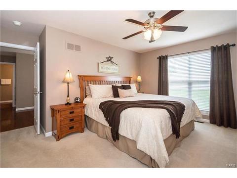 19 Belmonte Ct, O'fallon, MO 63368 photo 12