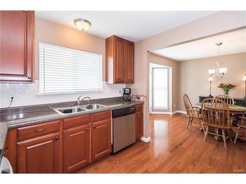 19 Belmonte Ct, O'fallon, MO 63368 photo 11