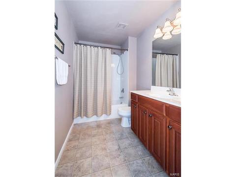 19 Belmonte Ct, O'fallon, MO 63368 photo 17