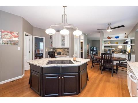 452 Bluff Meadow Dr, Ellisville, MO 63021 photo 13
