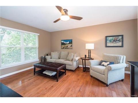 452 Bluff Meadow Dr, Ellisville, MO 63021 photo 25