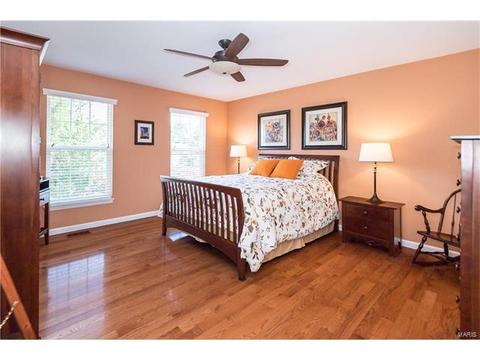 452 Bluff Meadow Dr, Ellisville, MO 63021 photo 18