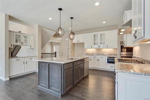 81 Weis Ave, Ellisville, MO 63011 photo 21