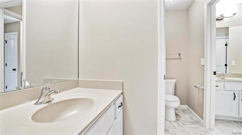 81 Weis Ave, Ellisville, MO 63011 photo 44