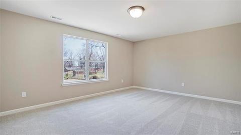 81 Weis Ave, Ellisville, MO 63011 photo 53