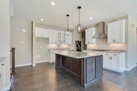 81 Weis Ave, Ellisville, MO 63011 photo 22