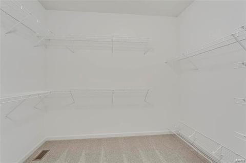 81 Weis Ave, Ellisville, MO 63011 photo 31