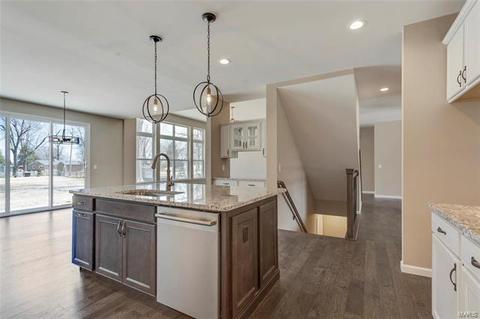 81 Weis Ave, Ellisville, MO 63011 photo 27