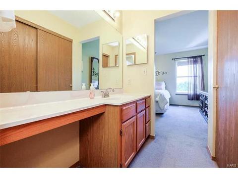 251 Coachman Way, O'fallon, MO 63368 photo 21