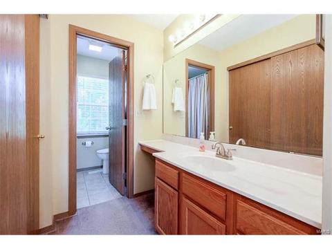 251 Coachman Way, O'fallon, MO 63368 photo 20