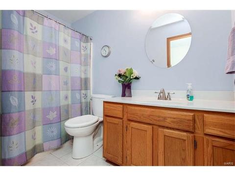251 Coachman Way, O'fallon, MO 63368 photo 18