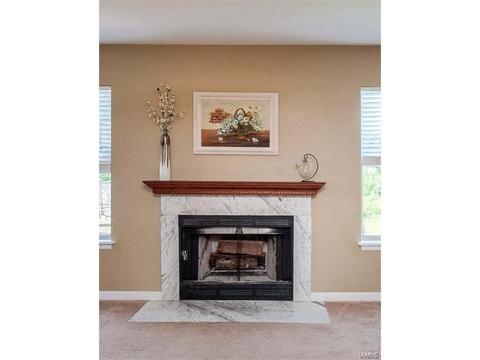 251 Coachman Way, O'fallon, MO 63368 photo 9