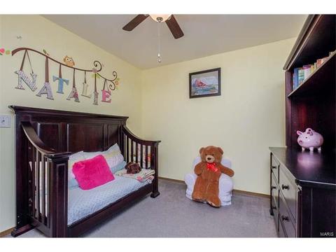 251 Coachman Way, O'fallon, MO 63368 photo 16