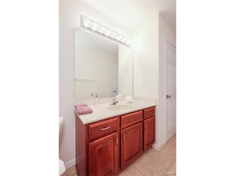 927 Castle Pines Dr, Ballwin, MO 63021 photo 67