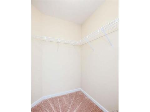 927 Castle Pines Dr, Ballwin, MO 63021 photo 70