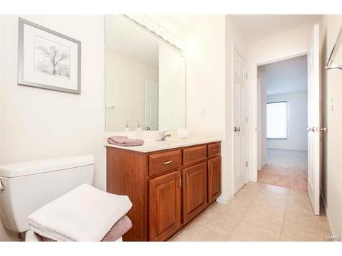 927 Castle Pines Dr, Ballwin, MO 63021 photo 66