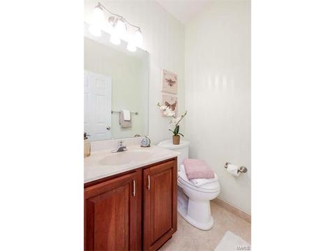 927 Castle Pines Dr, Ballwin, MO 63021 photo 24