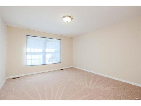927 Castle Pines Dr, Ballwin, MO 63021 photo 61