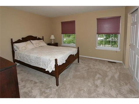 856 Autumn Grove Dr, O'fallon, MO 63366 photo 22