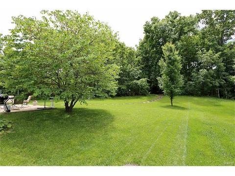 856 Autumn Grove Dr, O'fallon, MO 63366 photo 27