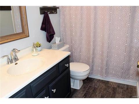 432 Mark Wesley Ln, Ballwin, MO 63021 photo 28