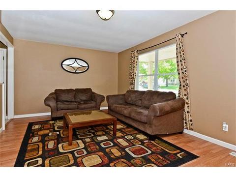 11 S Kern Dr, O'fallon, MO 63366 photo 5
