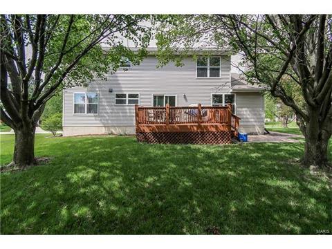 2762 Bromley Dr, O'fallon, MO 63368 photo 30