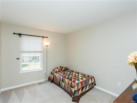 347 Parma Dr, Ballwin, MO 63021 photo 15