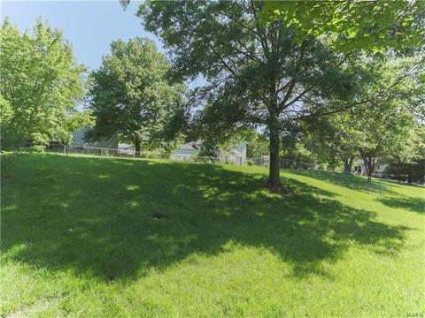 347 Parma Dr, Ballwin, MO 63021 photo 29