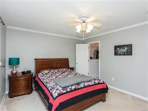 347 Parma Dr, Ballwin, MO 63021 photo 21