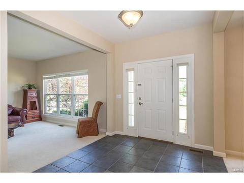 610 Remmick Stables Ct, O'fallon, MO 63368 photo 3