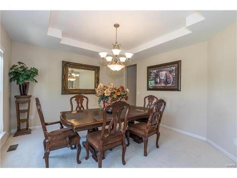 610 Remmick Stables Ct, O'fallon, MO 63368 photo 8
