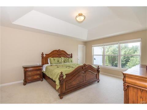 610 Remmick Stables Ct, O'fallon, MO 63368 photo 31
