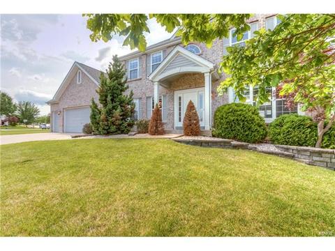 610 Remmick Stables Ct, O'fallon, MO 63368 photo 1