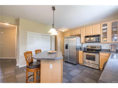 610 Remmick Stables Ct, O'fallon, MO 63368 photo 26