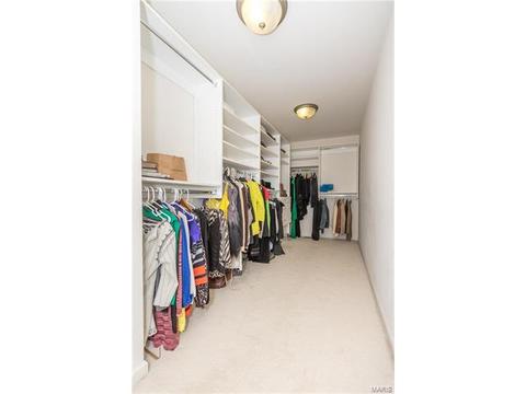 610 Remmick Stables Ct, O'fallon, MO 63368 photo 39
