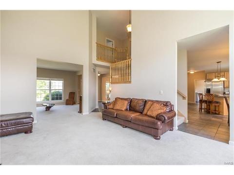 610 Remmick Stables Ct, O'fallon, MO 63368 photo 19