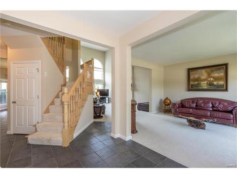 610 Remmick Stables Ct, O'fallon, MO 63368 photo 11