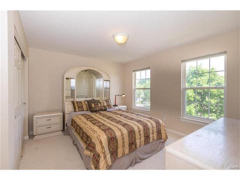 610 Remmick Stables Ct, O'fallon, MO 63368 photo 33